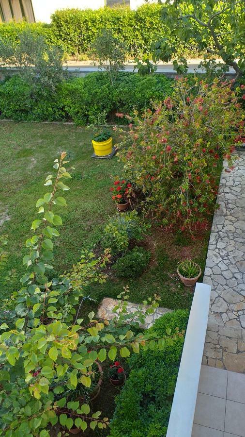 Apartment Manda Zadar Exterior photo