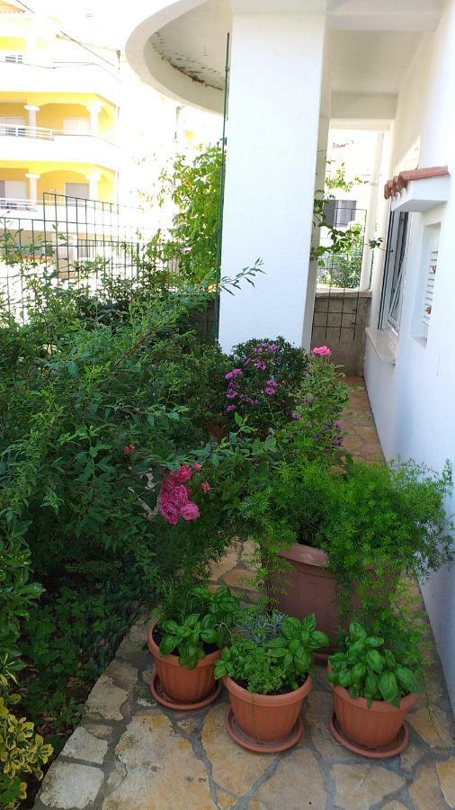 Apartment Manda Zadar Exterior photo